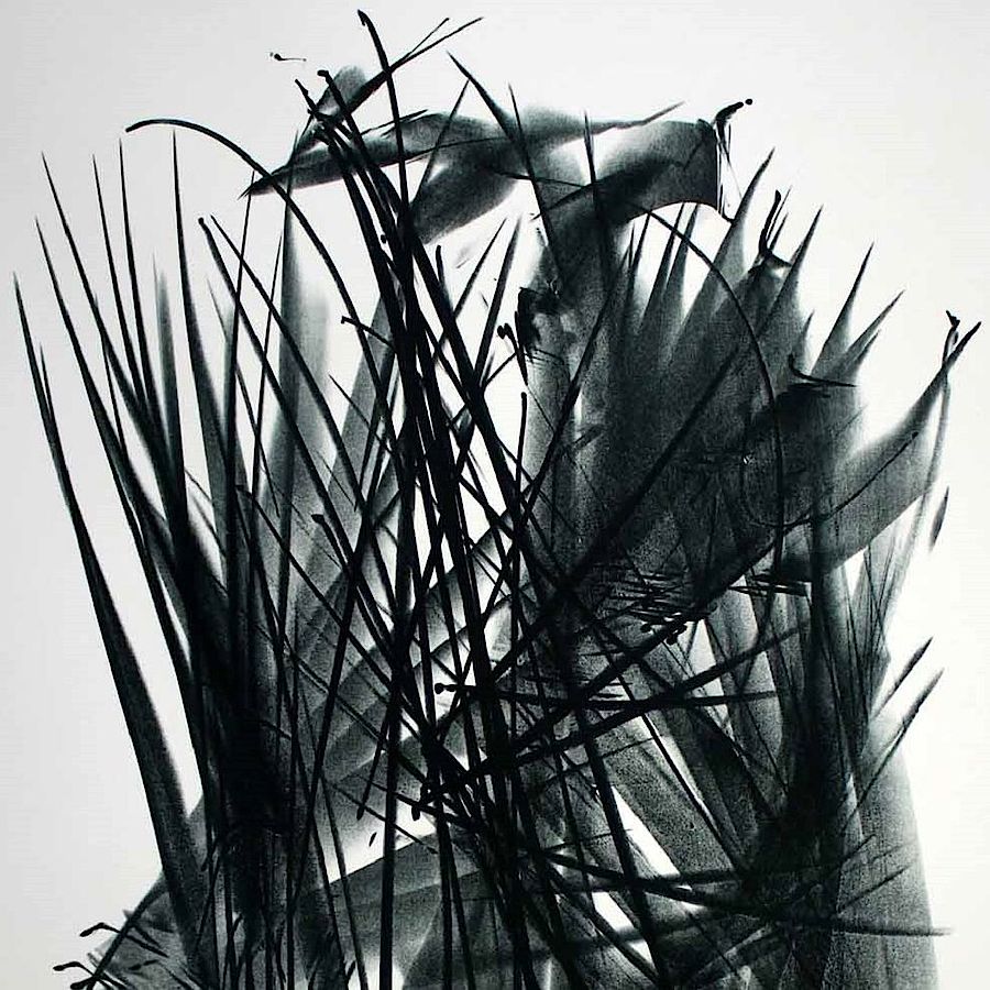 Hans Hartung