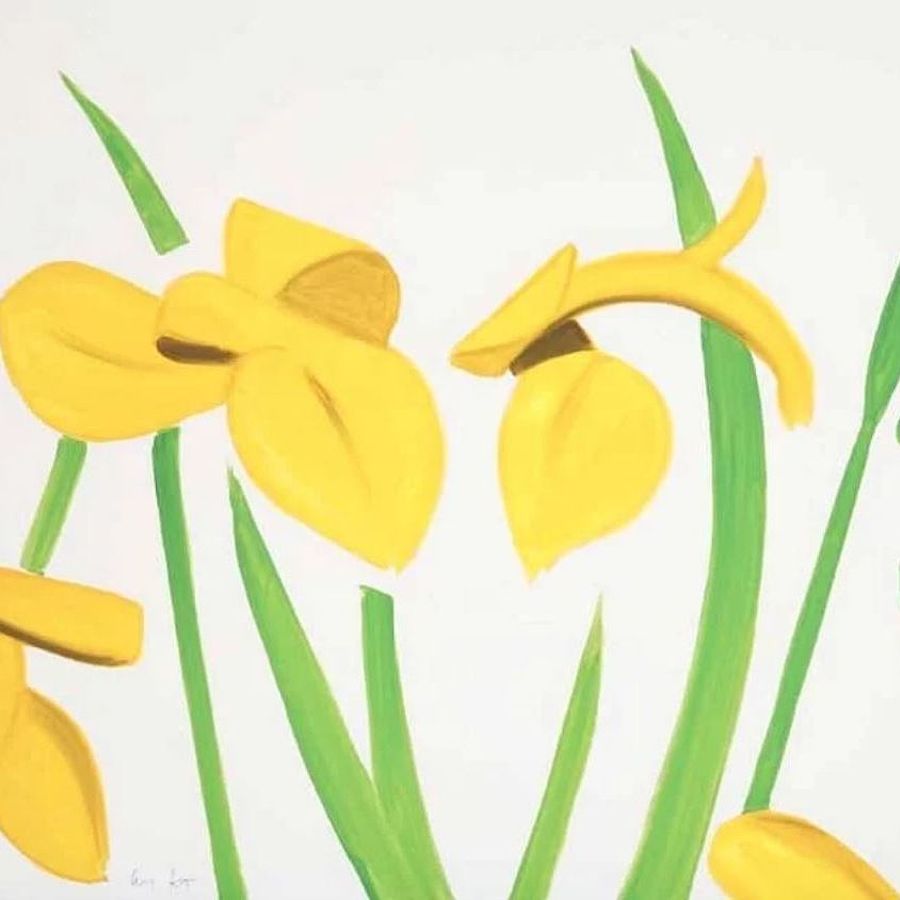 Korff Stiftung - Alex Katz - Grafiken - Yellow Flags on White