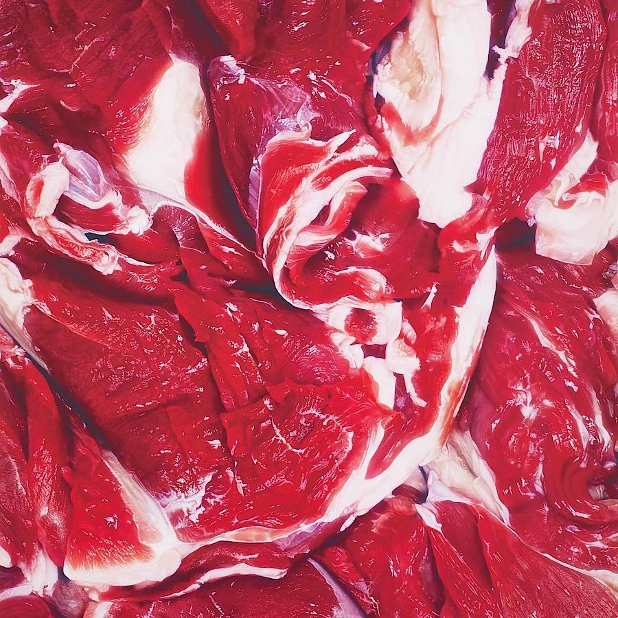 Korff Stiftung - Marc Quinn - Graphics - On Vegetarianism