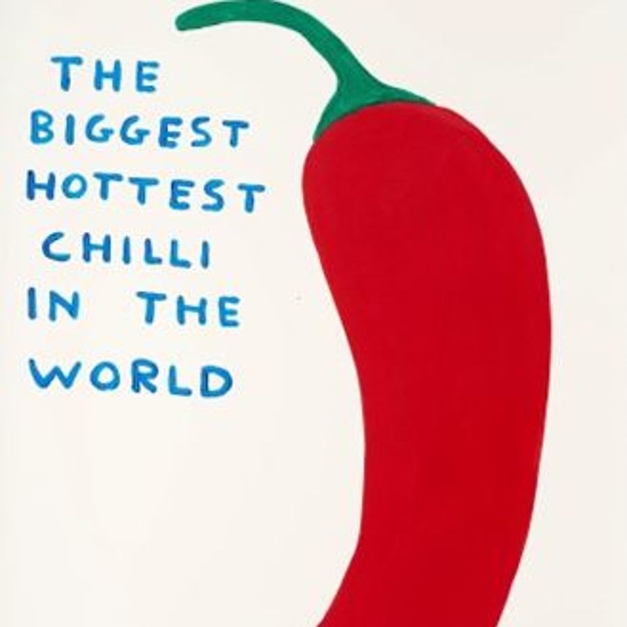 Korff Stiftung - David Shrigley - Grafiken - The biggest hottest
