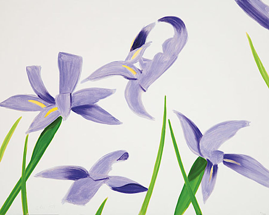Korff Stiftung - Alex Katz - Grafiken - Purple Irises on White