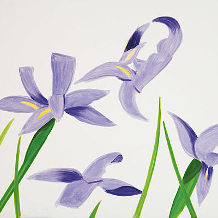 Korff Stiftung - Alex Katz - Grafiken - Purple Irises on White