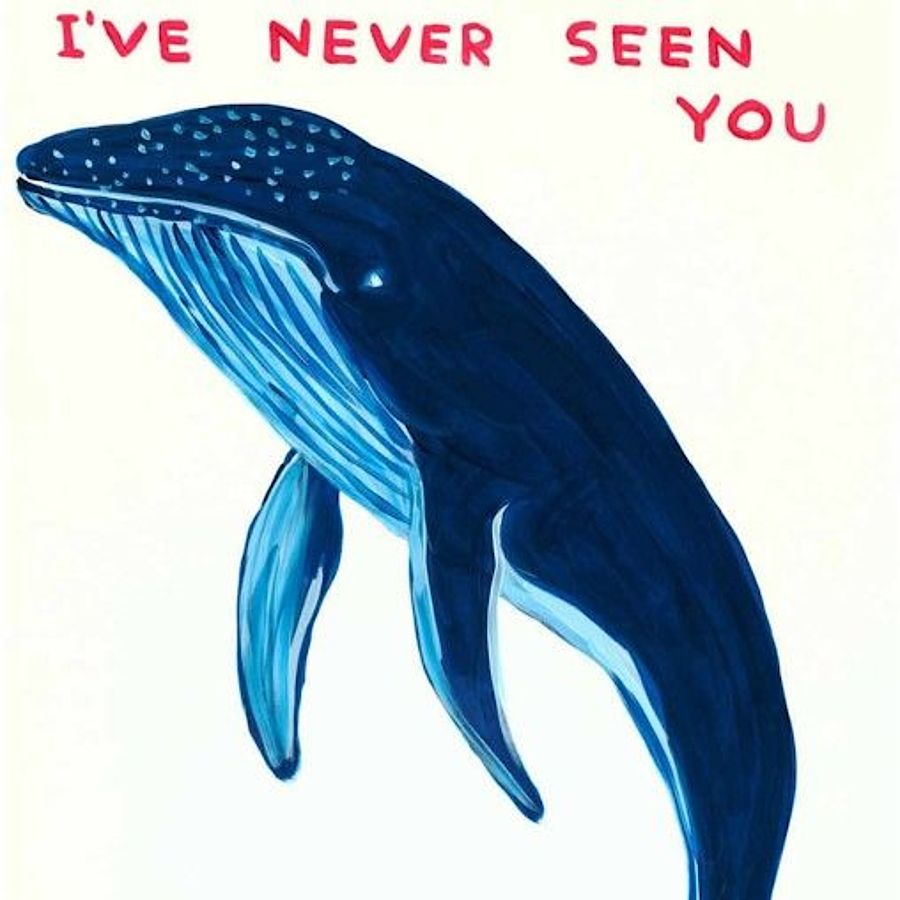 Korff Stiftung - David Shrigley - Grafiken - I´ve never seen you