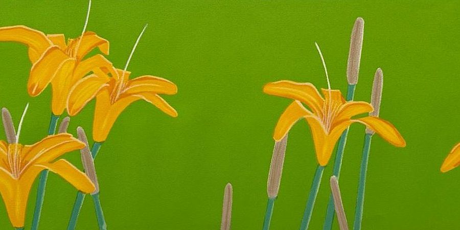 Day Lilies