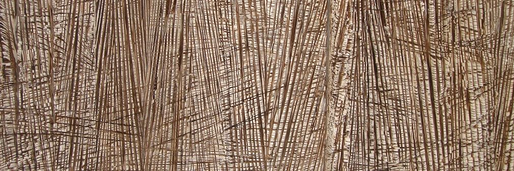 Barbara Ullmann, O.T., 2012