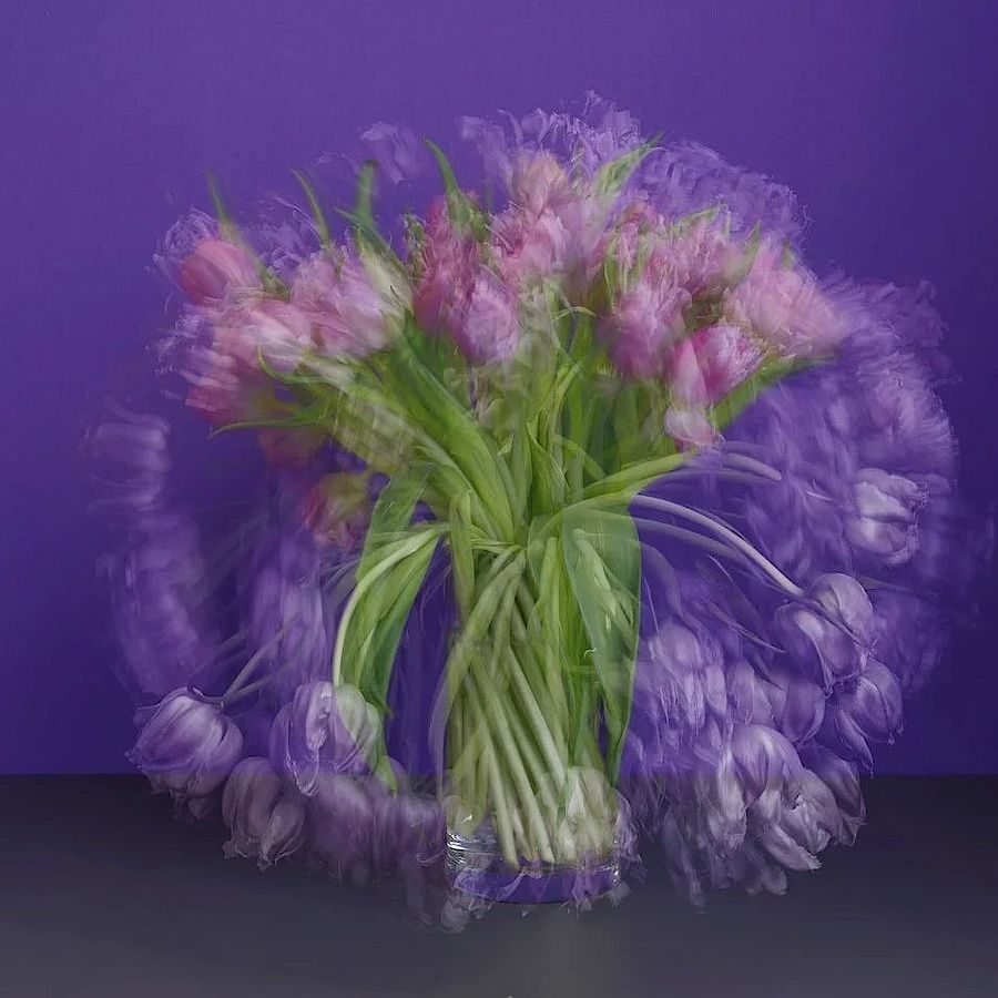 Korff Stiftung - Michael Wesely - Graphics - Purple Purple