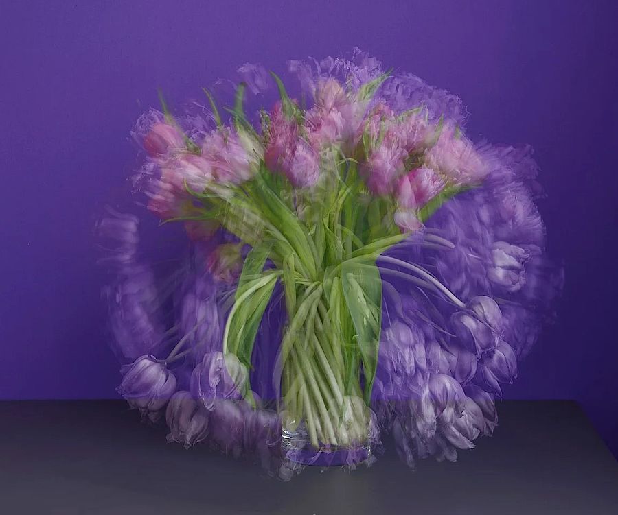 Korff Stiftung - Michael Wesely - Editions - Purple Purple