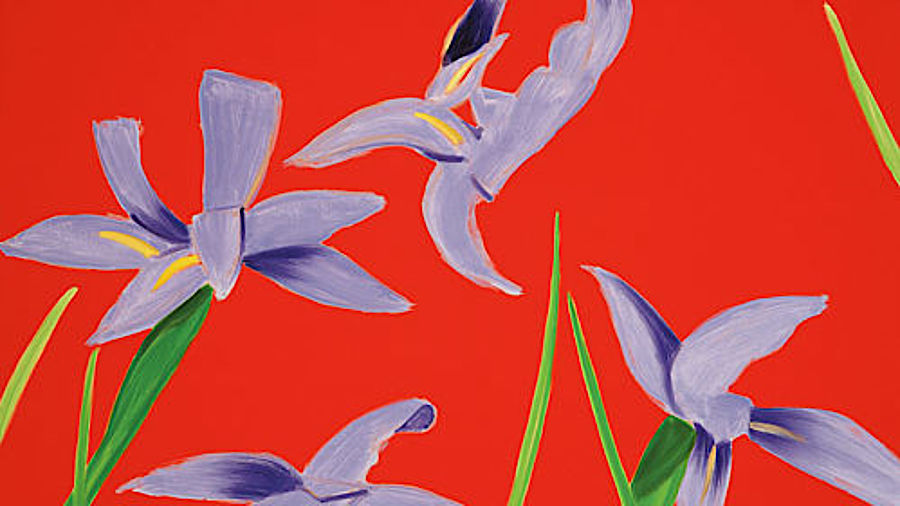 Purple Irises on Red
